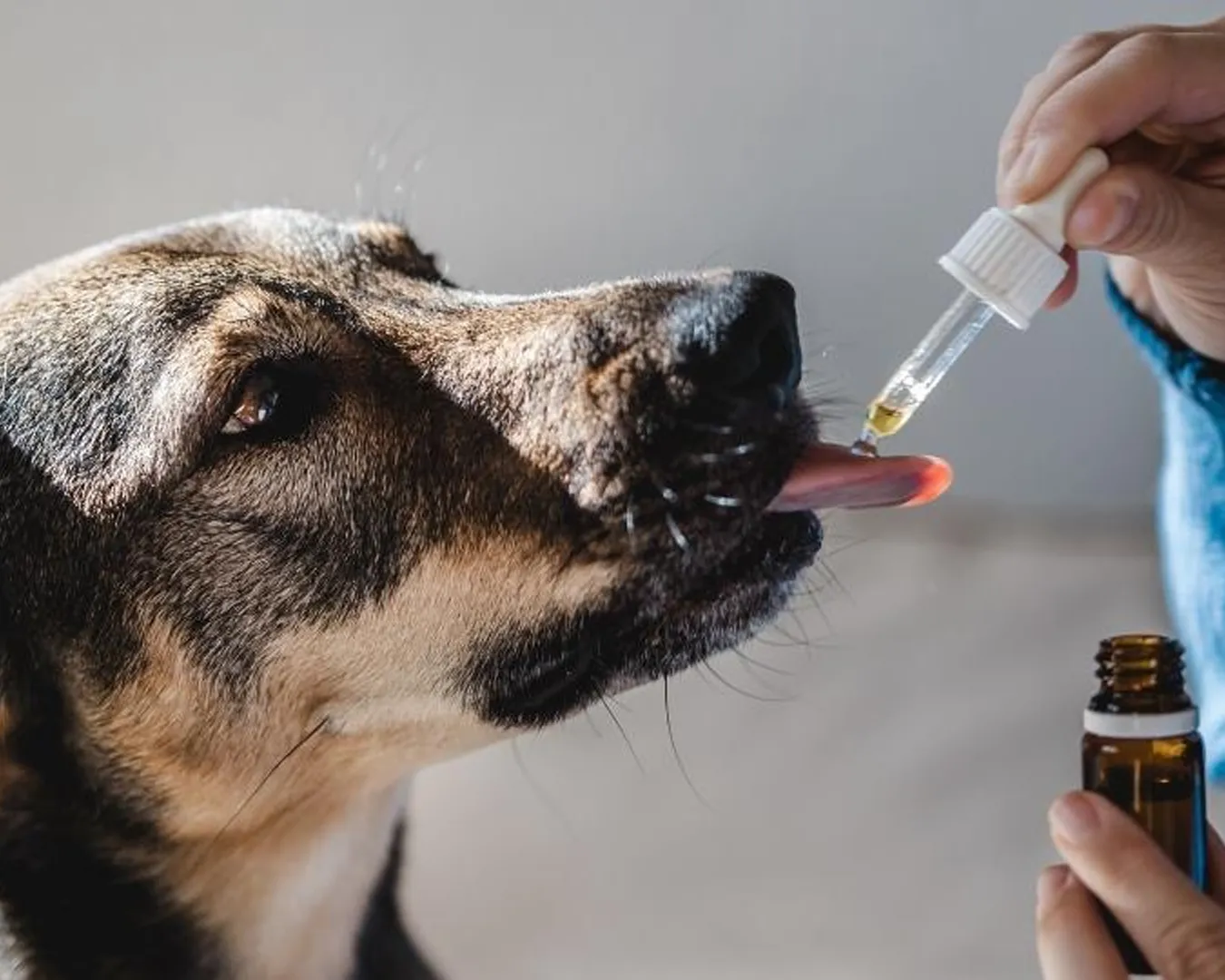 Articulação saudável representando controle eficaz de inflamações com cannabis